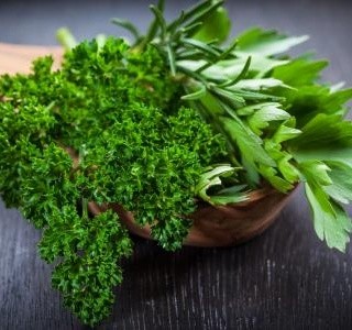 5 klasických bylinek do české kuchyně a jejich pozitivní účinky na zdraví