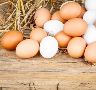 Co vlastně víte o vejcích?