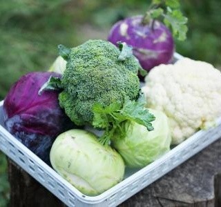 Košťálová zelenina - přírodní zásobárna vitamínů, minerálů a vlákniny