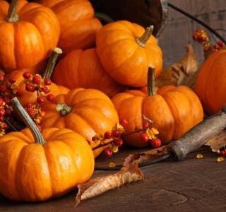 Říjen – pouštění draků, změna času, Halloween, sázení stromů, podzimní prázdniny