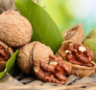 Vlašské ořechy - dar, který si zaslouží řádné uskladnění