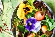 Jarní salát s jedlými květy