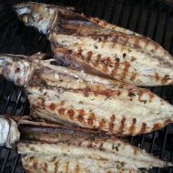 Grilované marinované makrely recept