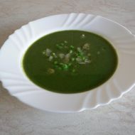 Rakouská zelená polévka recept