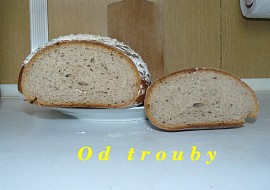 Kváskový chléb  verze 1.1 recept
