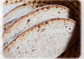 Chleba z ovocné fermentované vody recept