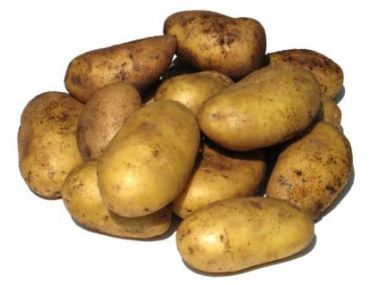 Žebrácké brambory