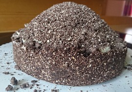 RAW krtkův dortík recept