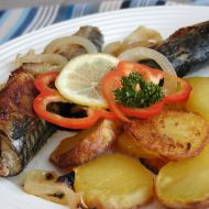 Makrely pečené na cibuli recept