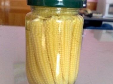 Sterilovaná mladá kukuřice