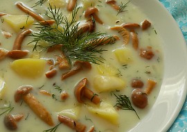 Brynzová polévka s houbami a koprem recept