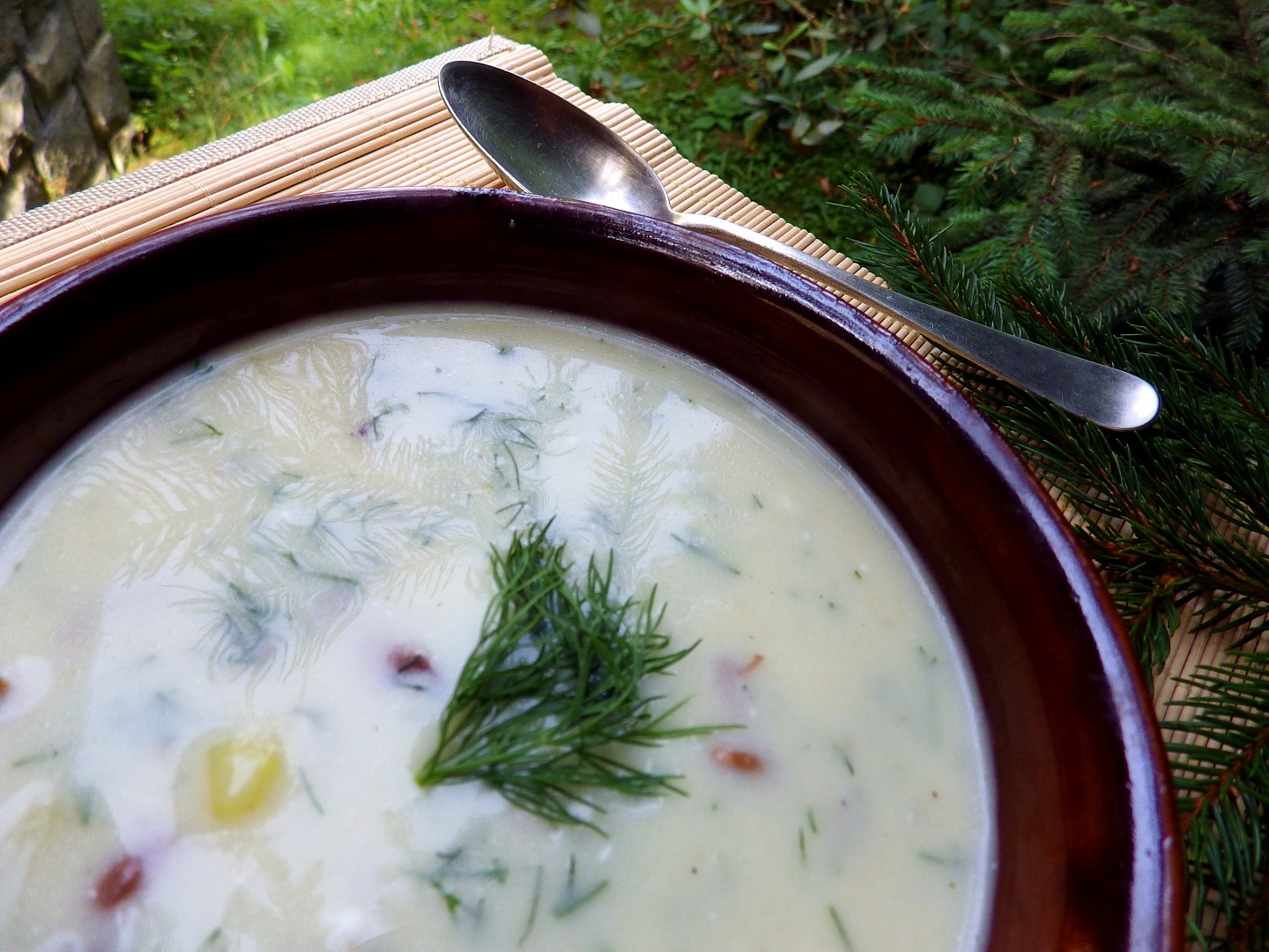 Koprová polévka s bramborem a houbami recept