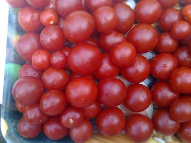 Plněná rajčata vaječnou pěnou