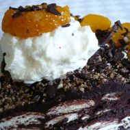 Nepečený kakaový dort recept