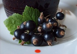 Marmeláda  rosol z černého rybízu  nevařená recept