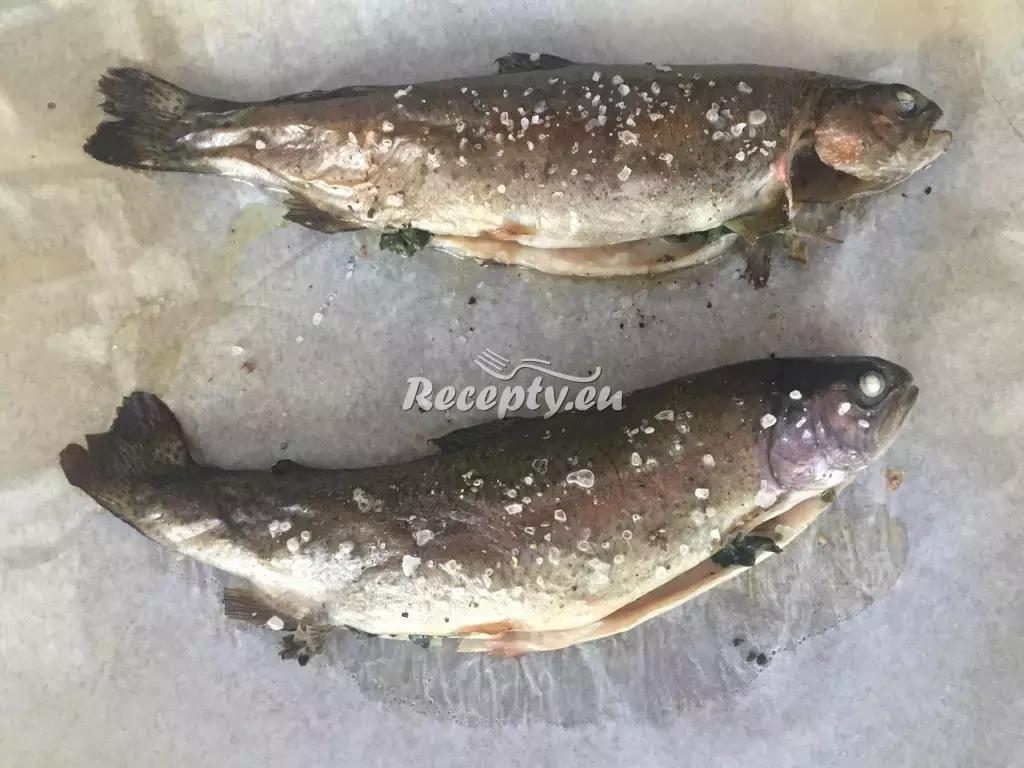 Pečení pstruzi na oregánu recept  ryby