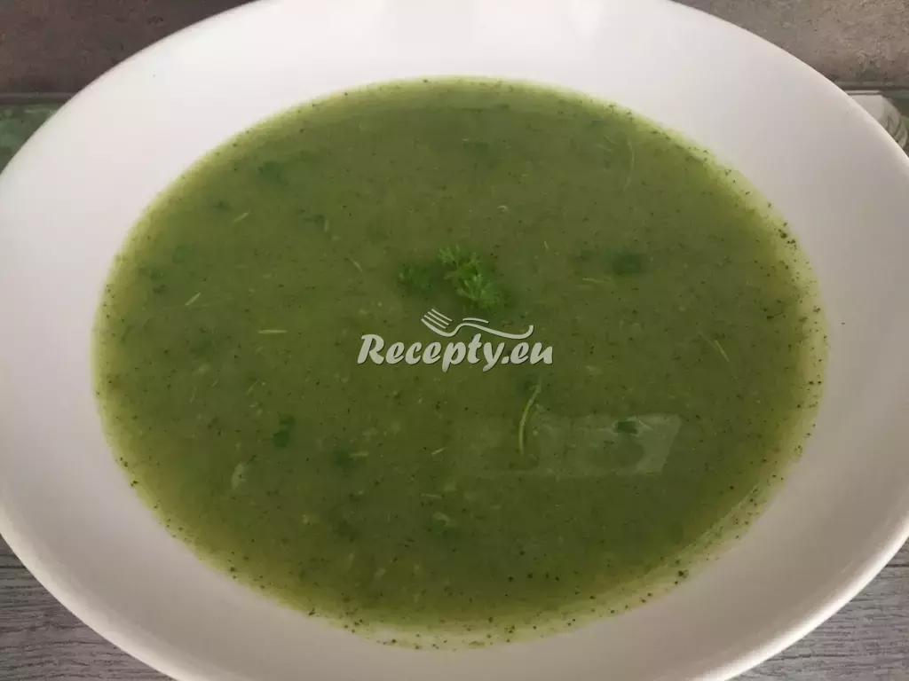 Brokolicová polévka pro masožravce recept  polévky