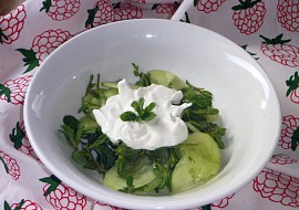 Okurkový salát se šruchou zelnou recept
