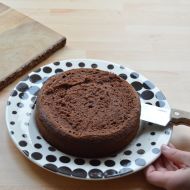 Výborný kakaový korpus na dort recept