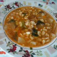 Zeleninová polévka s mletým masem a nočky recept