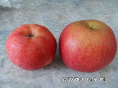 Jablečný perník 1