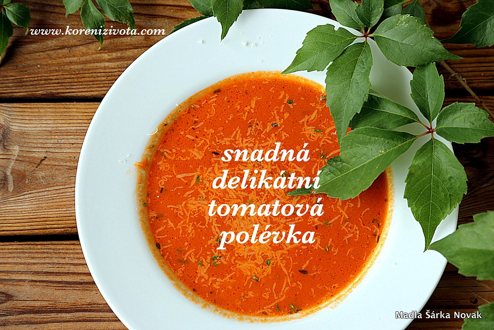 Snadná delikátní tomatová polévka recept