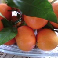 Mandarinkový krém do zákusků recept