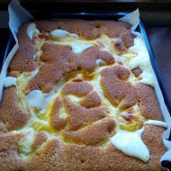 Ovocný koláč s vanilkovým pudinkem recept