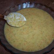 Brokolicová polévka s mrkví recept