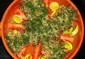 Krémový salát z brokolice, rajčat a vojtěšky