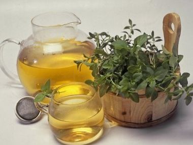Meduňkový čaj proti kornatění tepen