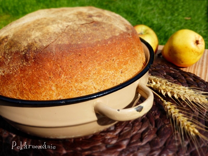 Pšenično-žitný chleba z mísy recept