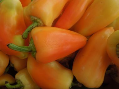 Plněné papriky na slaný způsob