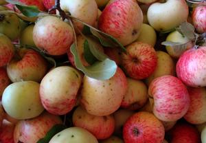 Jablečná přesnídávka