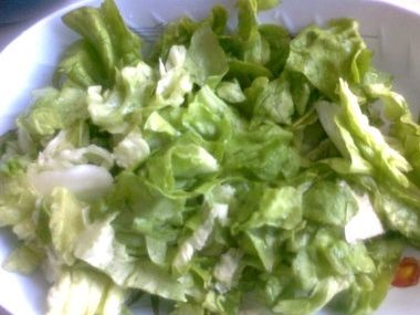 Polévka salátová