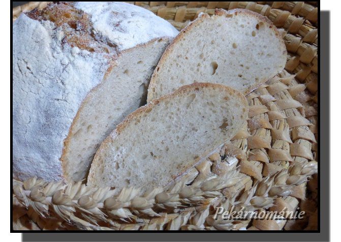 Chleba kynutý kefírovou houbičkou recept
