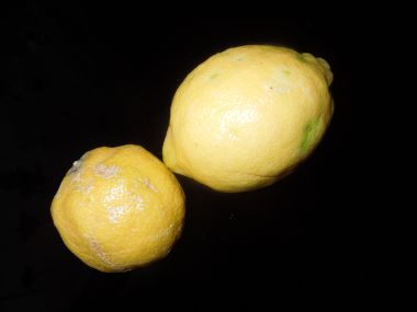 Citronová poleva  lesklá