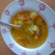 Věrčina zeleninová polévka recept