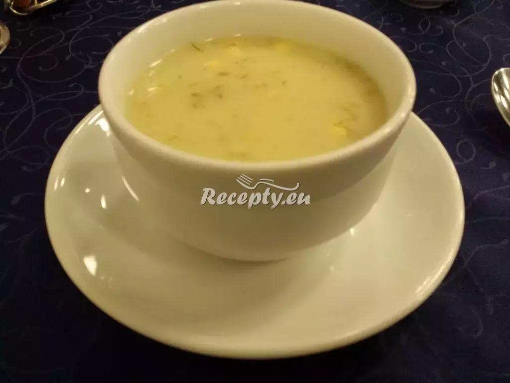 Tvarůžková cibulačka recept  polévky