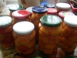Meruňkový kompot recept