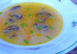 Velerychlá zeleninová polévka se žampiony recept