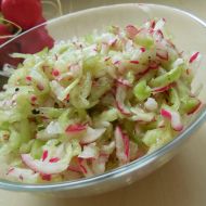 Jednoduchý okurkovo-ředkvičkový salát recept