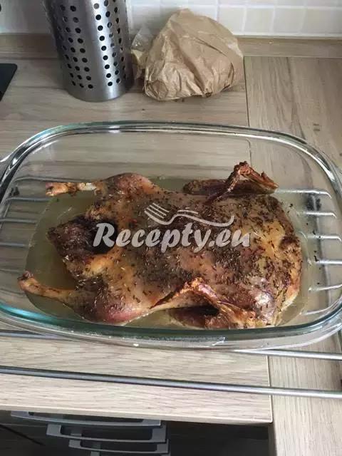 Pečená husa s jablky recept  drůbeží maso