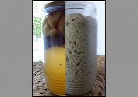 Kvásek z fermentované ovocné vody recept
