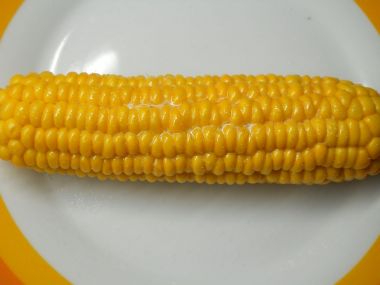 Kukuřice jako z poutě