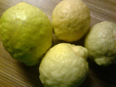 Citronový džus