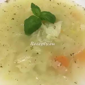 Polévka zelňačka recept  polévky