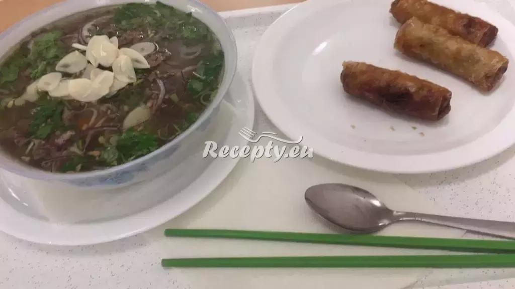 Nudlová polévka phó bo tái podle Vieta recept  exotické recepty ...