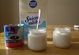 Domácí jogurt  hustý recept