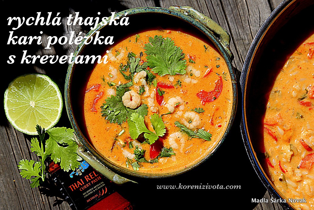 Rychlá thajská kari polévka s krevetami recept